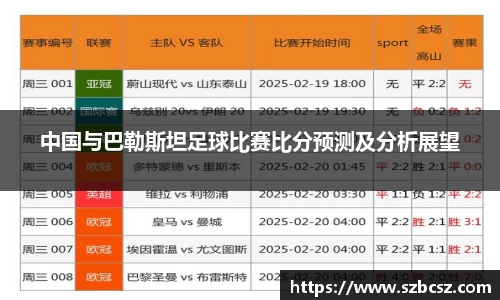 中国与巴勒斯坦足球比赛比分预测及分析展望