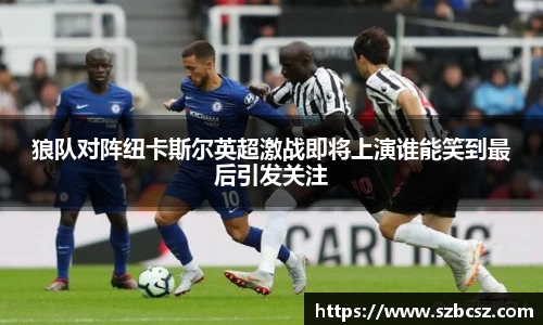狼队对阵纽卡斯尔英超激战即将上演谁能笑到最后引发关注